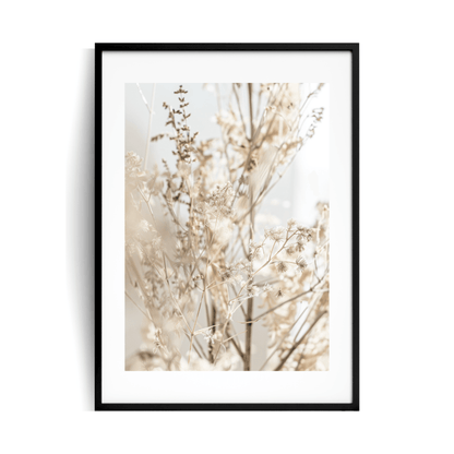 Boho Sapling Plakat w ramie