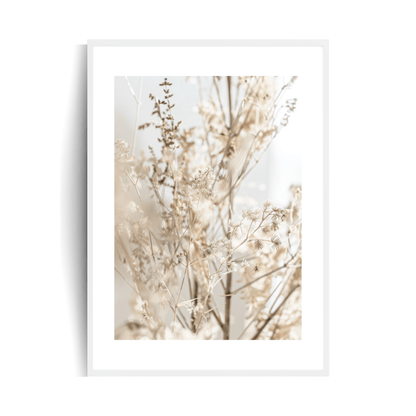 Boho Sapling Plakat w ramie